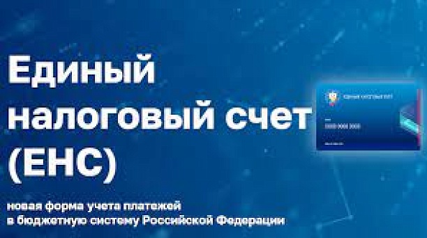 Как получить информацию о состоянии ЕНС!