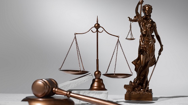 О привлечении к трудовой деятельности иностранных граждан