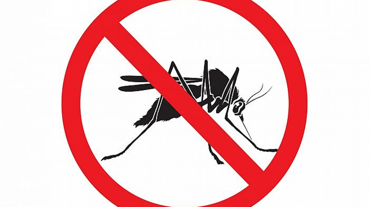 Осторожно! Лихорадка Западного Нила.jpg