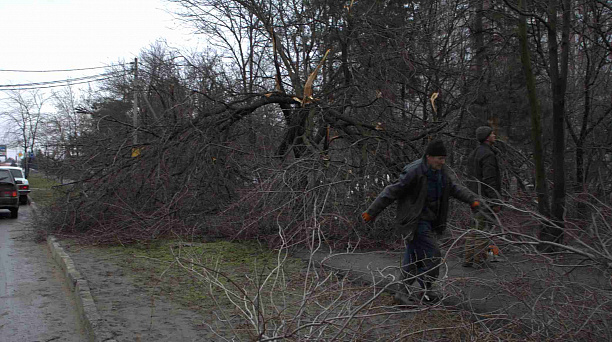 Казаки из куреня поселка Колосистого расчистили от упавших деревьев территорию детского сада и школы