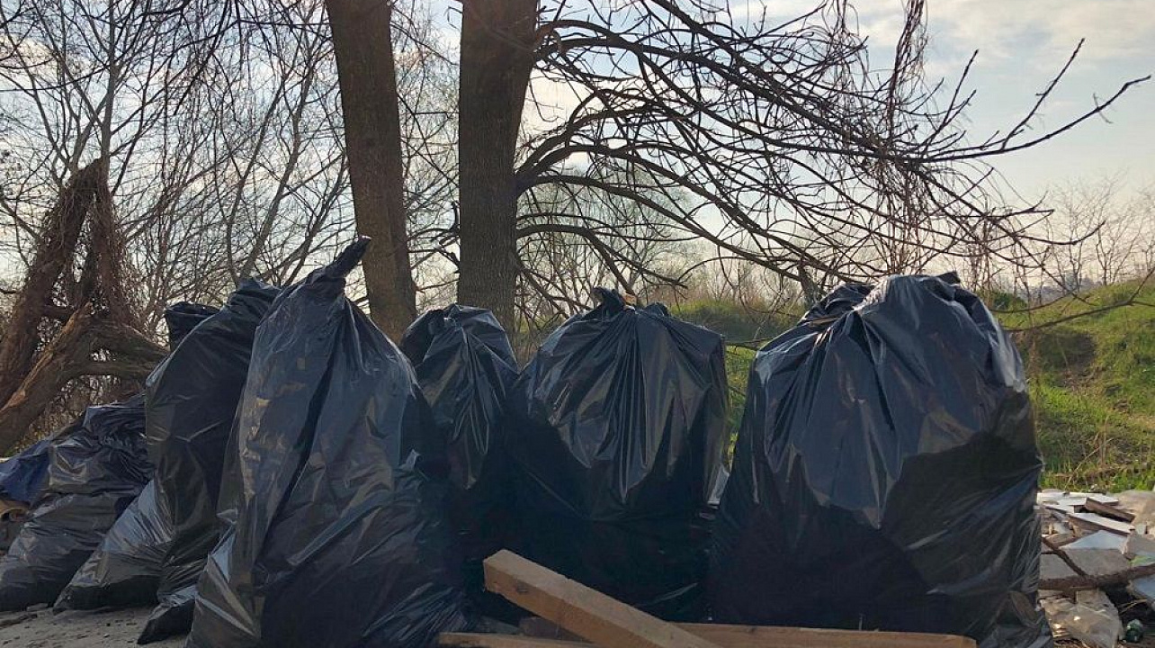В ходе экологического флешмоба в Краснодаре очистили от мусора участок в районе сквера 80-летия образования Краснодарского края