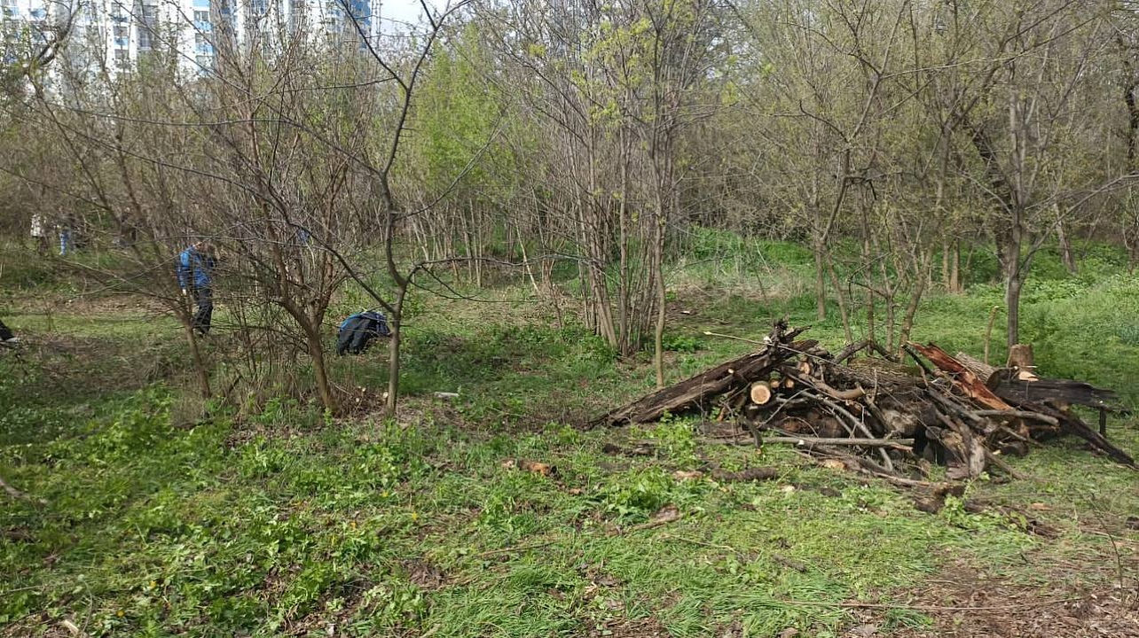 Фото: Пресс-служба администрации Краснодара