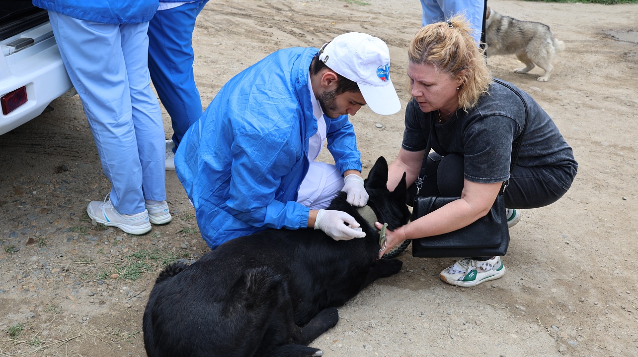 Фото: администрации Центрального округа