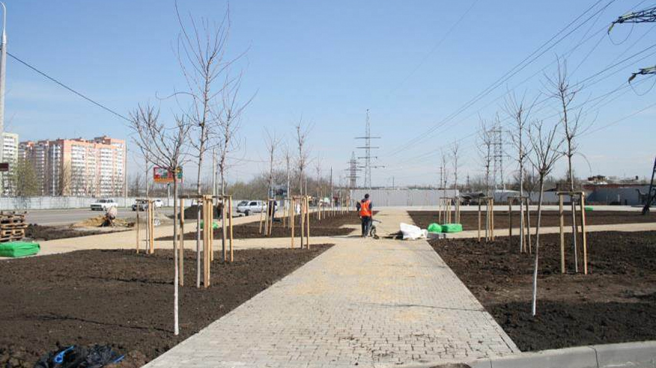 В Прикубанском округе с начала санитарного двухмесячника высажено около тысячи деревьев