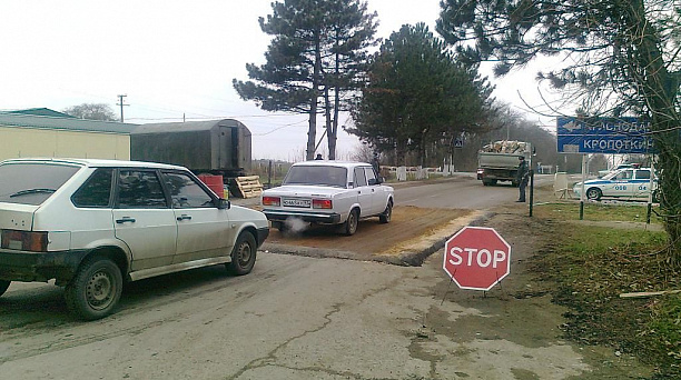 В Краснодаре предпринимаются все меры для локализации очага африканской чумы свиней