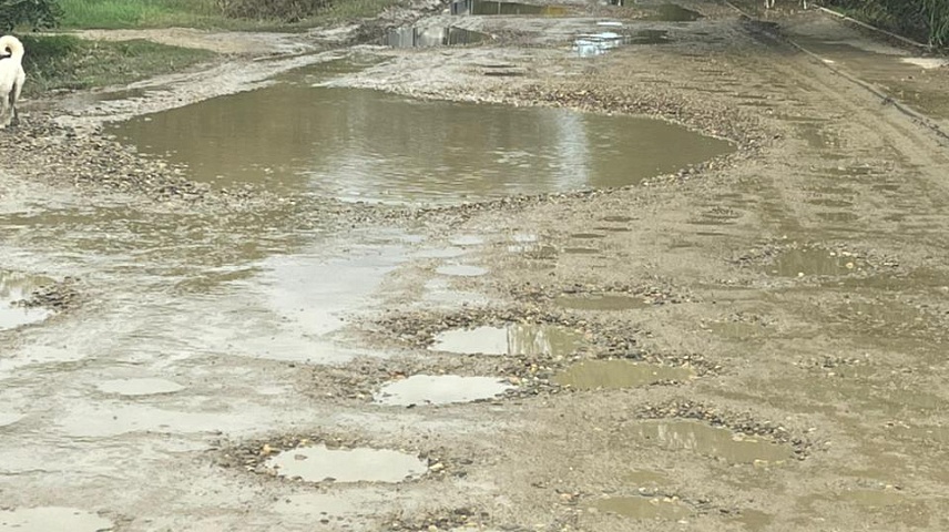 Фото: Иванова Ю.В