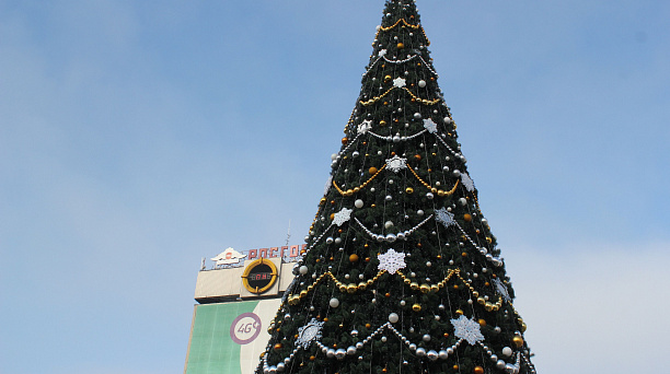 В Краснодаре 3 декабря приступят к украшению главной городской елки