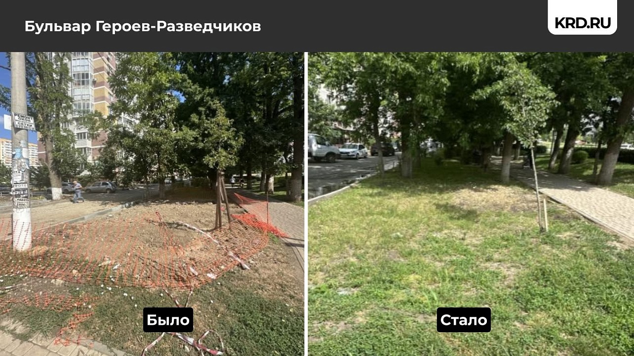 Фото: Пресс-служба администрации Краснодара