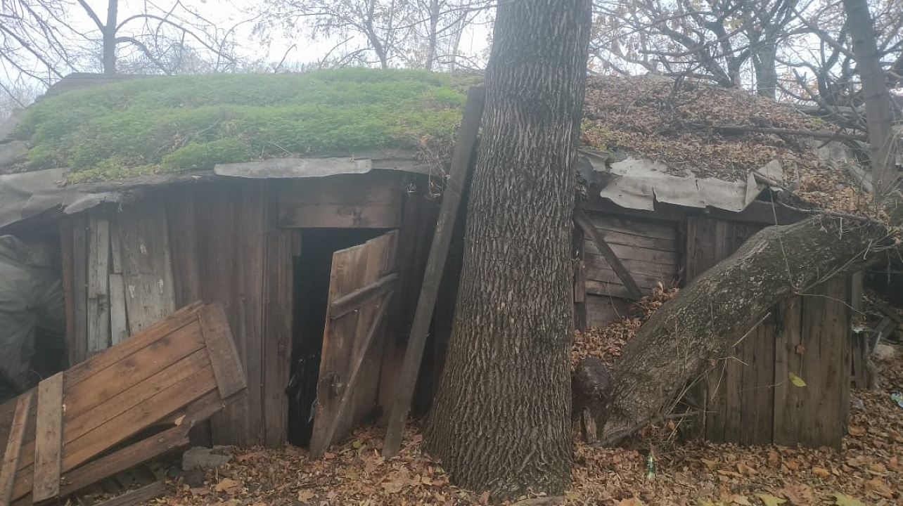 Фото: администрации Центрального округа