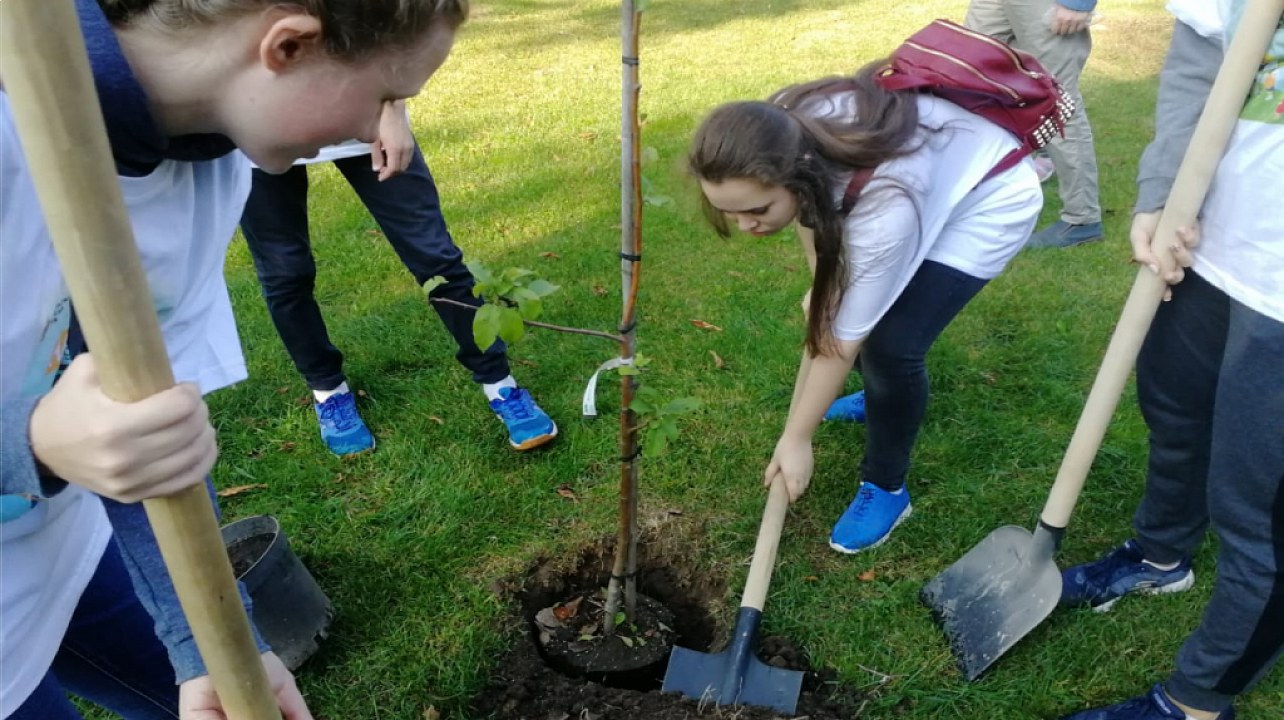 Школы Западного округа присоединились к экологической акции