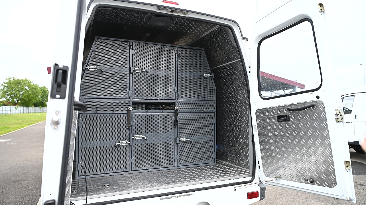 Фото: Андрей Зубов