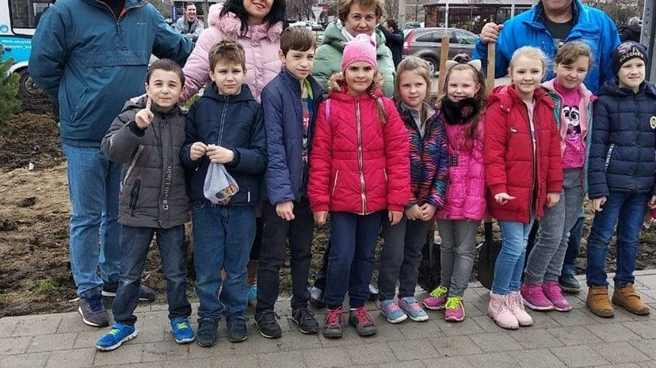 Краснодару - 10 тысяч деревьев.jpg