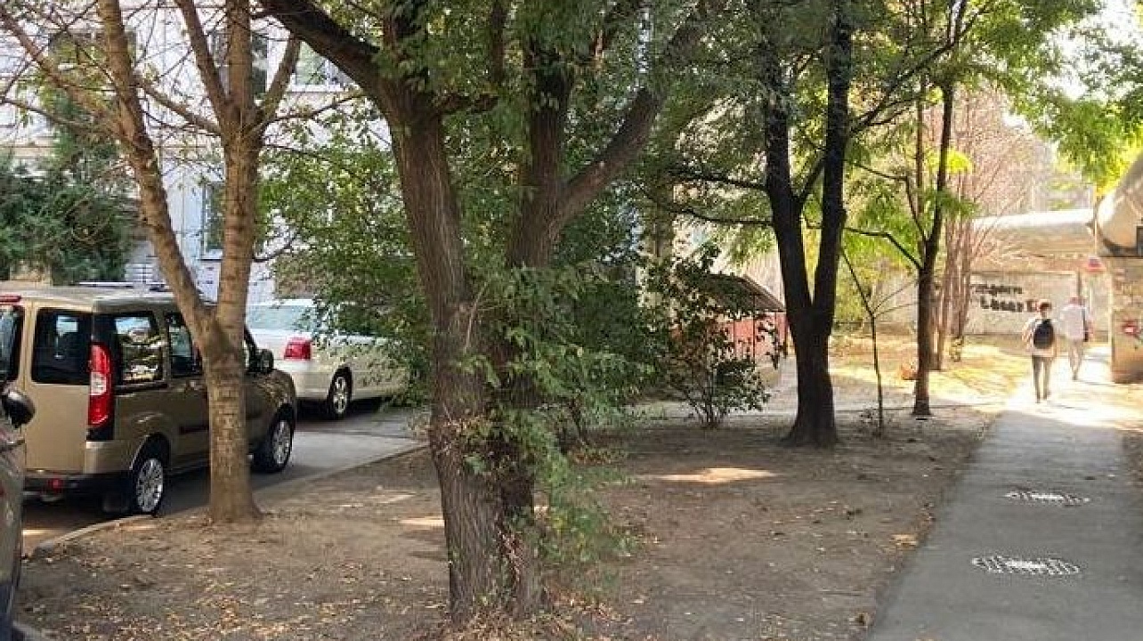 Фото: администрации Центрального округа