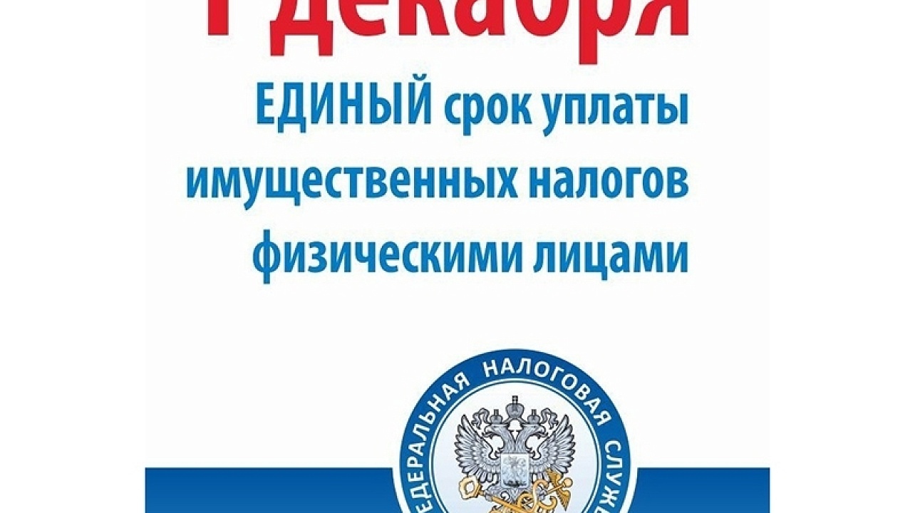 Фото: ФНС России