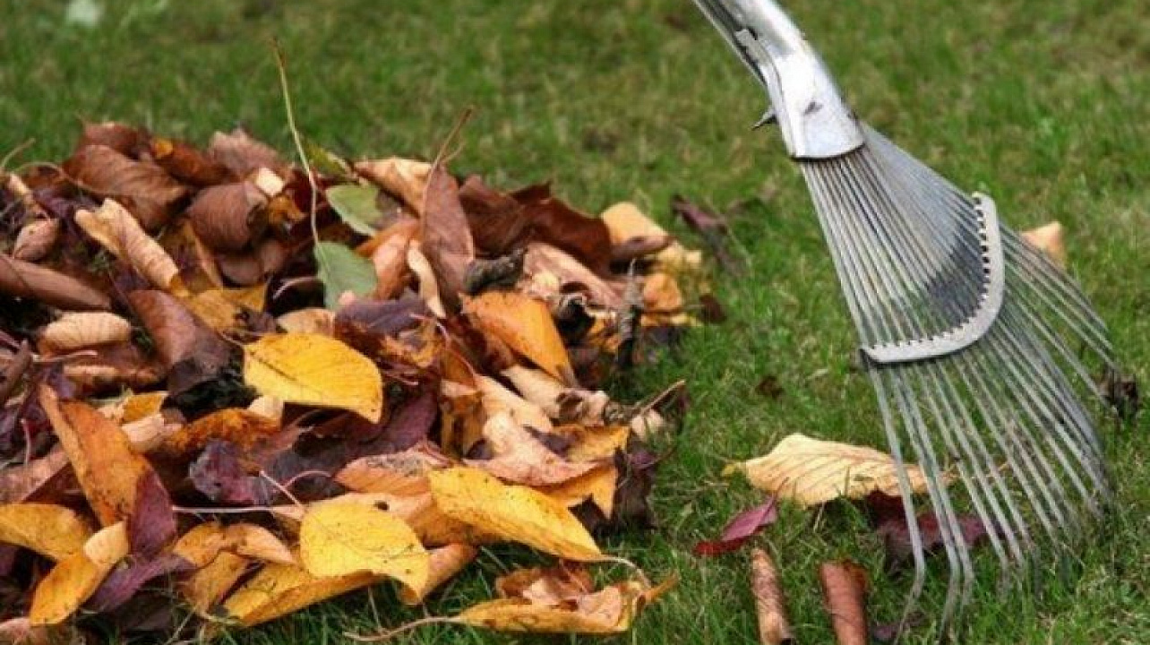 В Краснодаре на Всесвятском кладбище активисты проведут субботник