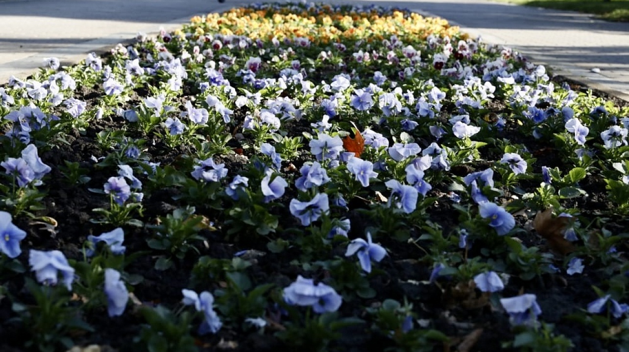 Фото: Александр Райко, Станислав Телеховец