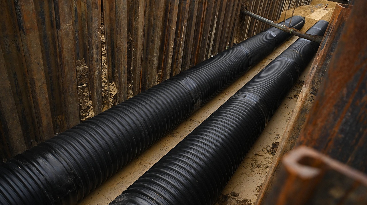 Фото: Андрей Зубов