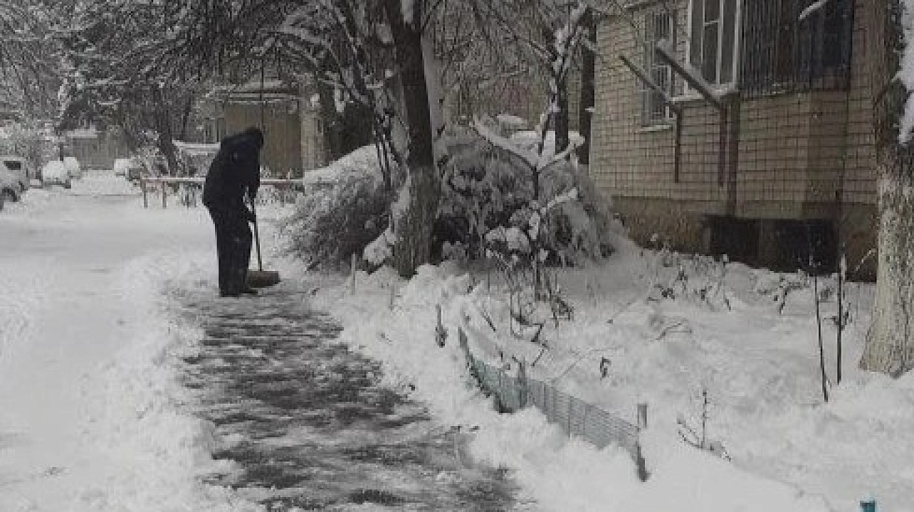 Фото: Пресс-служба администрации Краснодара