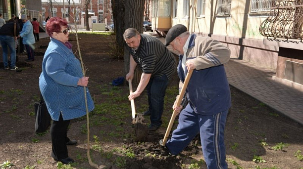 Депутат городской Думы Игорь Самохин совместно со своим активом высадил саженцы молодых деревьев в сквере в переулке Солдатском