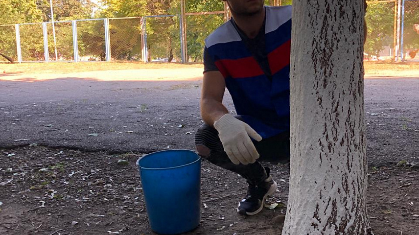 IMG-20190914-WA0024.jpg
