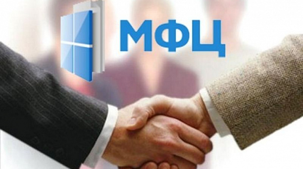 Перечень государственных услуг ФНС России, предоставляемых в МФЦ