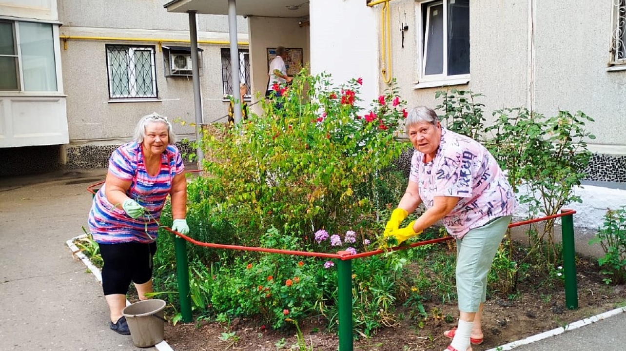 Фото: администрации Центрального округа