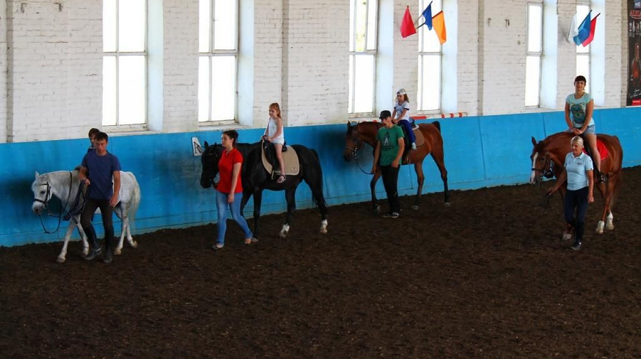 Ребята из Центра детского творчества побывали с экскурсией на ипподроме