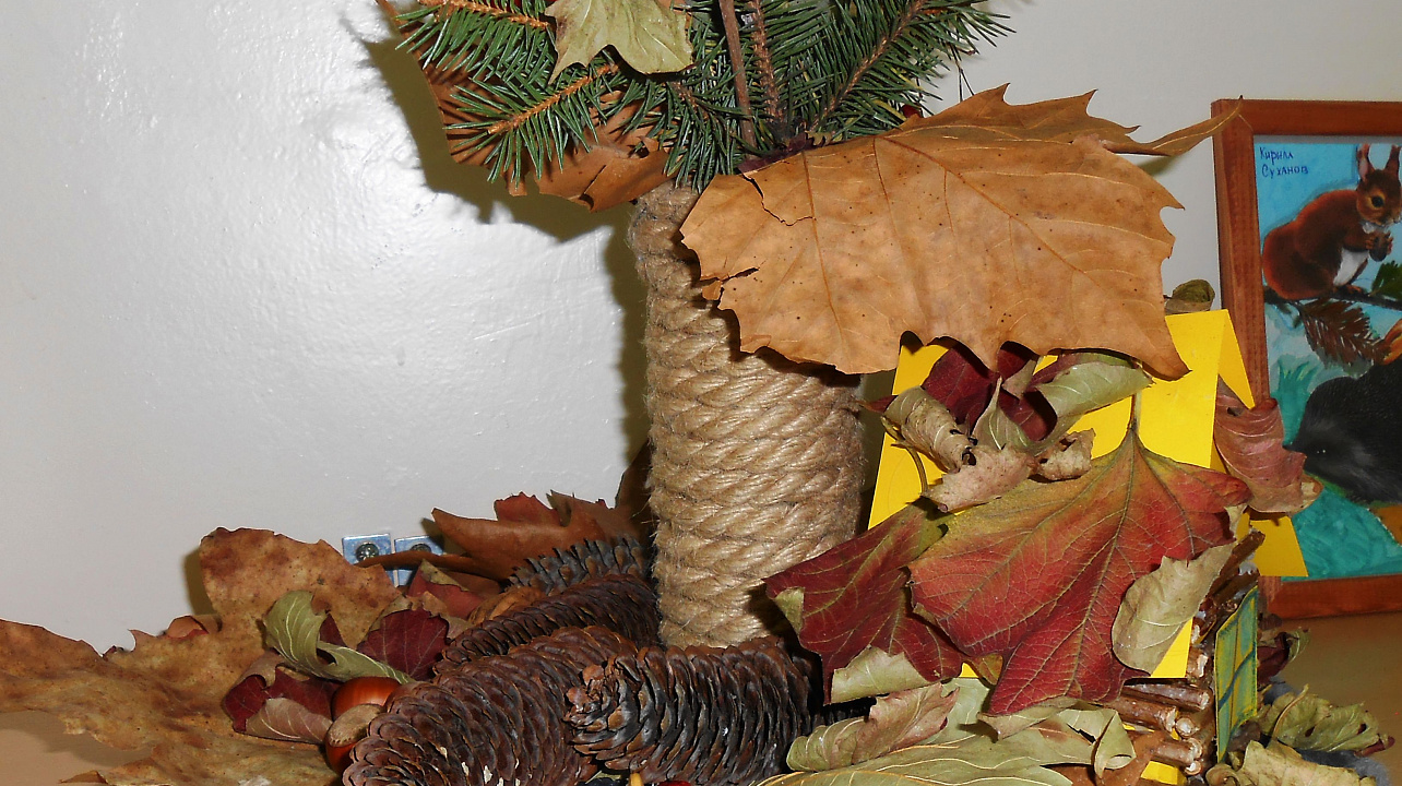 Выставка-конкурс открылась в детском саду Западного округа