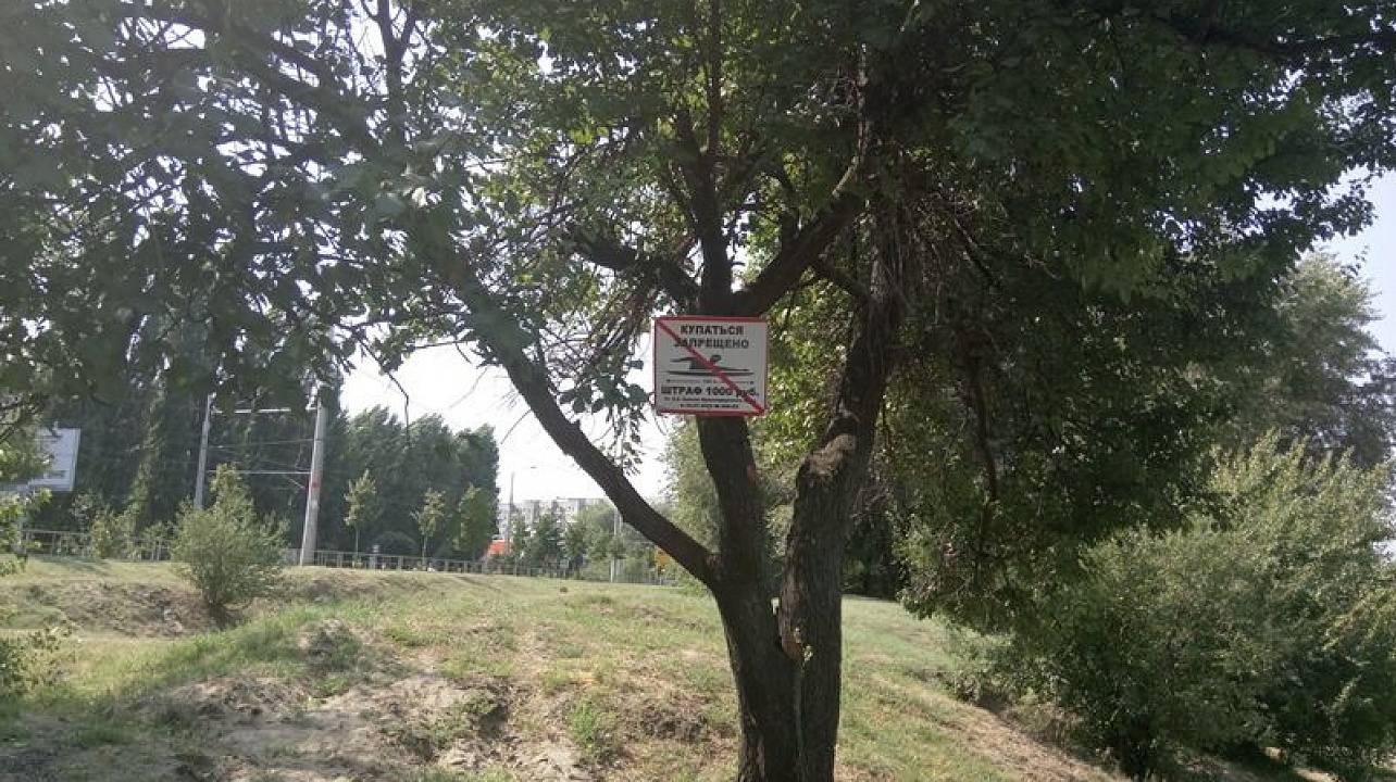 Запрещающие купание знаки 6.jpg