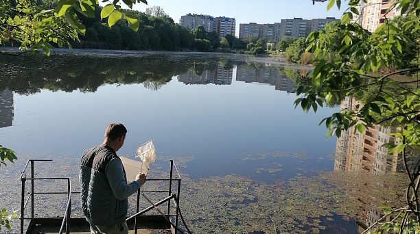 Седьмое предварительное обследование обособленных водных объектов