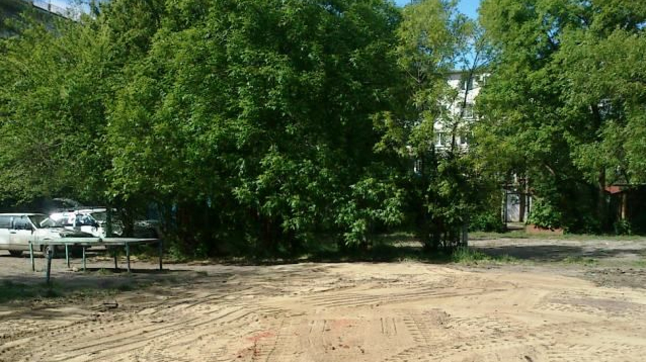 Дмитрий Логвиненко: Если каждый из нас будет поддерживать порядок — наш город преобразится