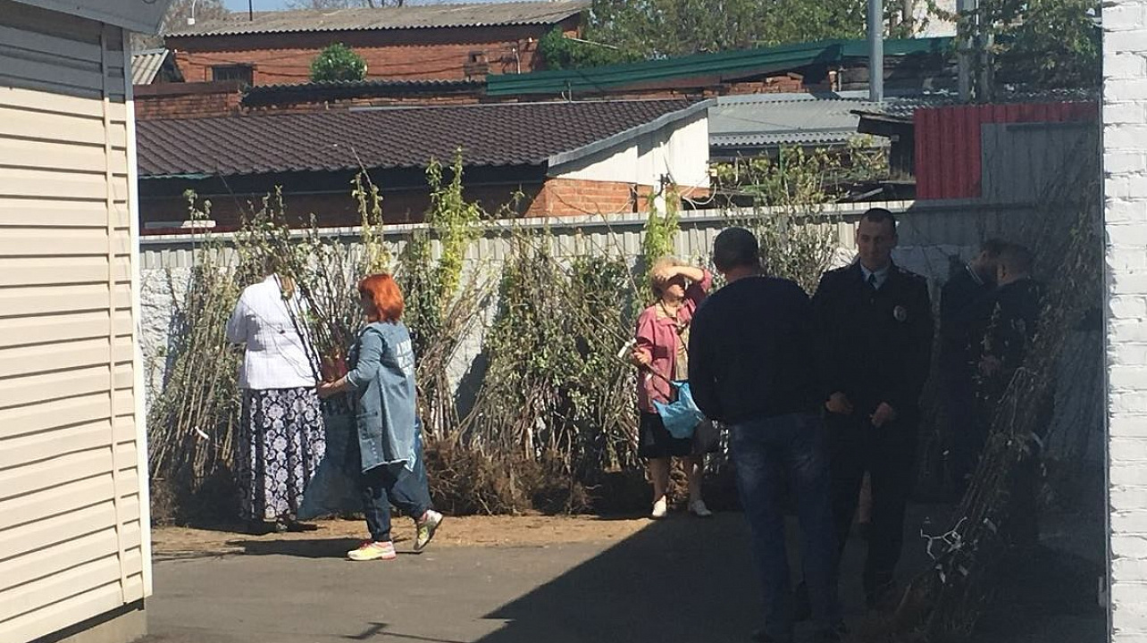 В Западном округе прошла акция «Любишь свой город - посади дерево!»