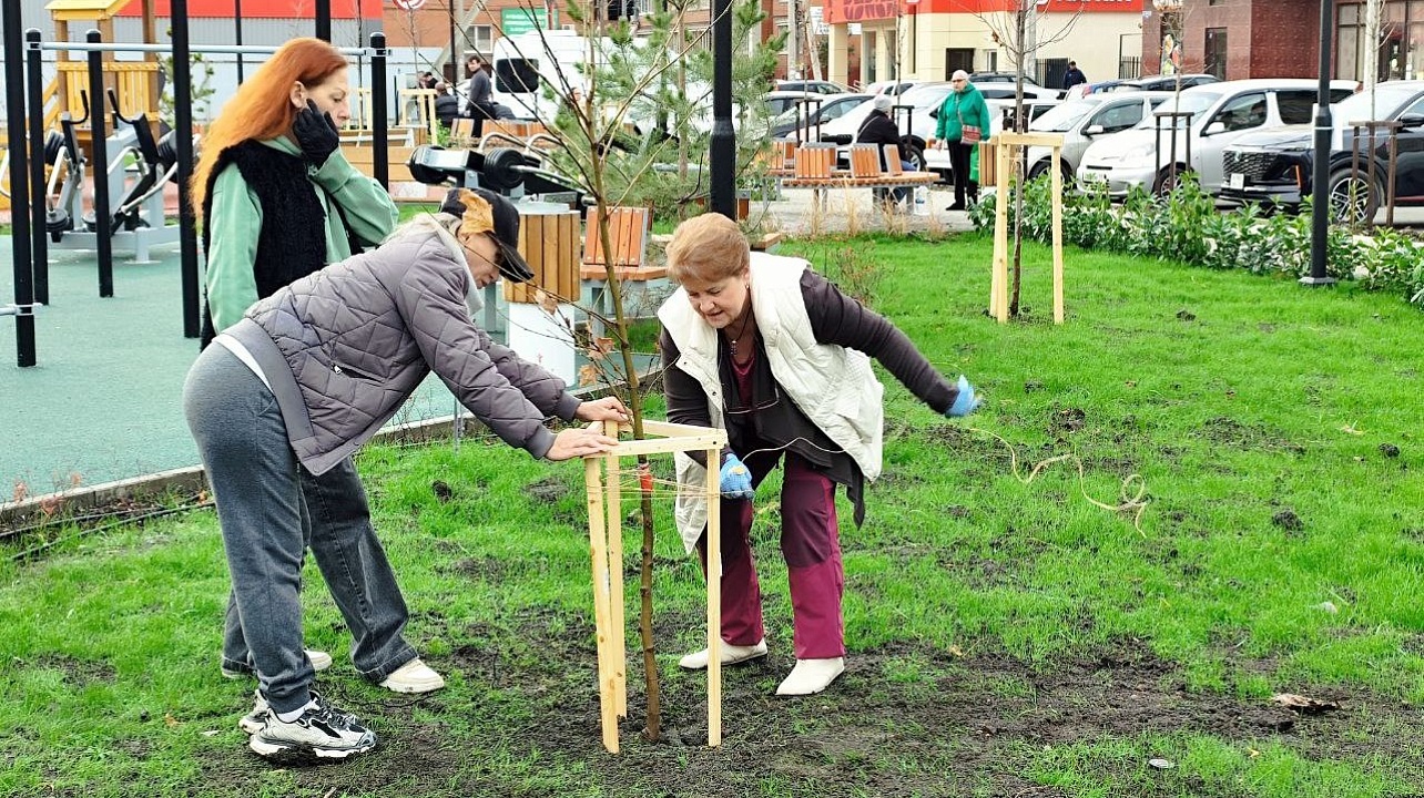 Фото: Пресс-служба администрации Краснодара