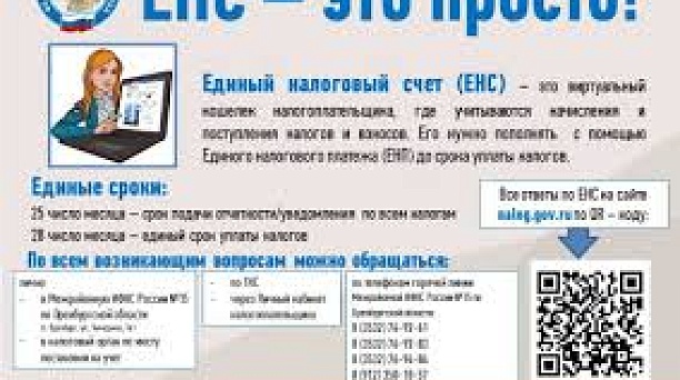 Что такое ЕНС и ЕНП?