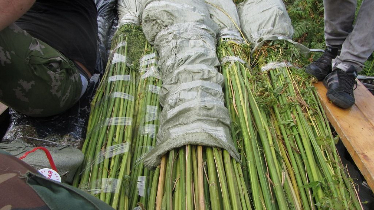 Совместные рейды