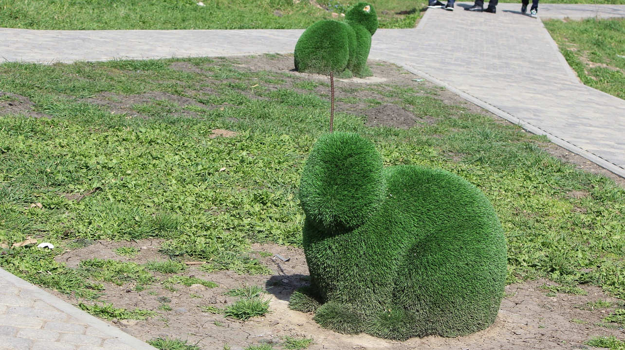 Фото: городская Дума Краснодара