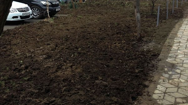 В Западном округе стартовал двухмесячник по  по наведению санитарного порядка и благоустройству территории