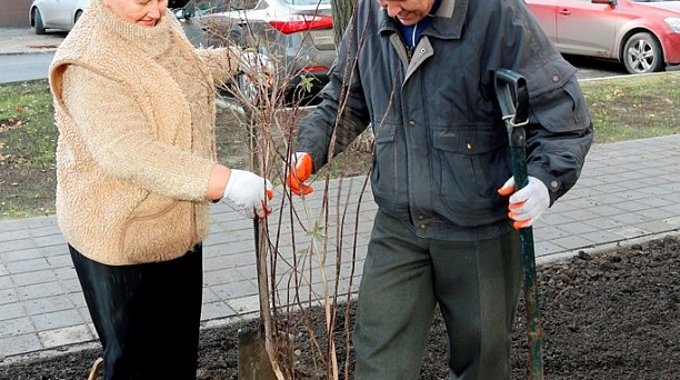 В Краснодаре высадили более 200 деревьев и кустарников
