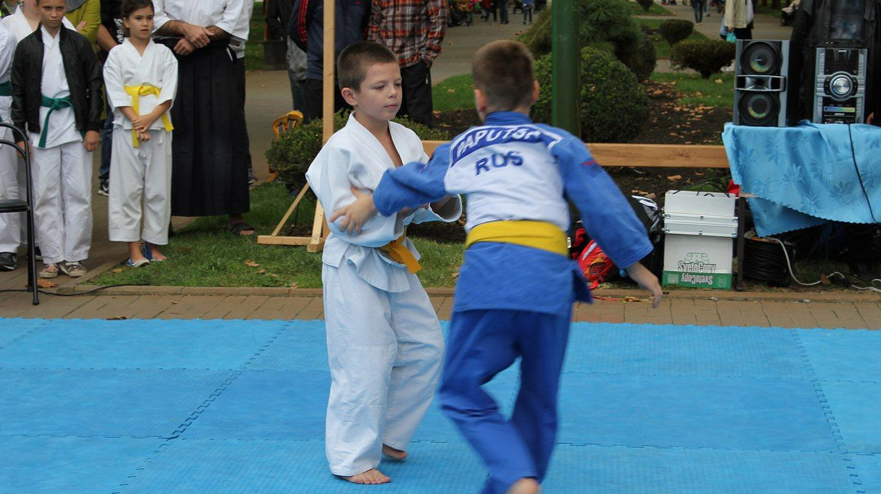 В Западном округе прошёл фестиваль боевых искусств: «Сыны отечества»