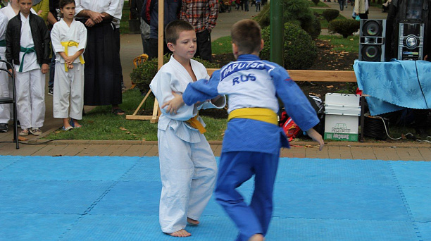 В Западном округе прошёл фестиваль боевых искусств: «Сыны отечества»