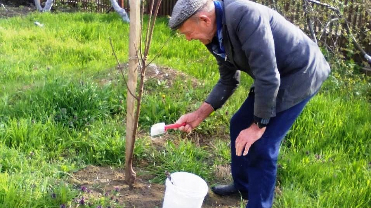 В селах Прикубанского округа проходят массовые субботники