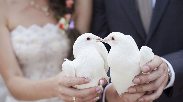 Молодожены Прикубанского округа не верят в суеверия