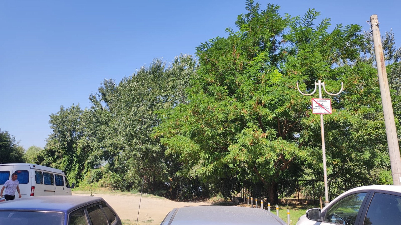 Фото: администрация Западного округа