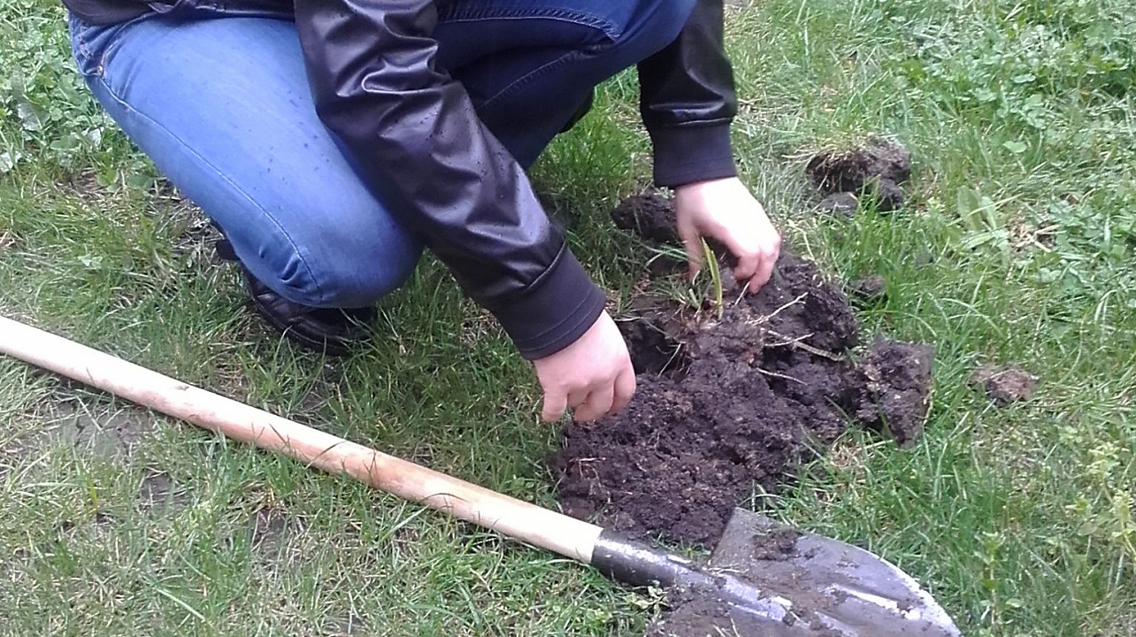 Жители дома по улице Жигеленко, 4, привели порядок придомовую территорию