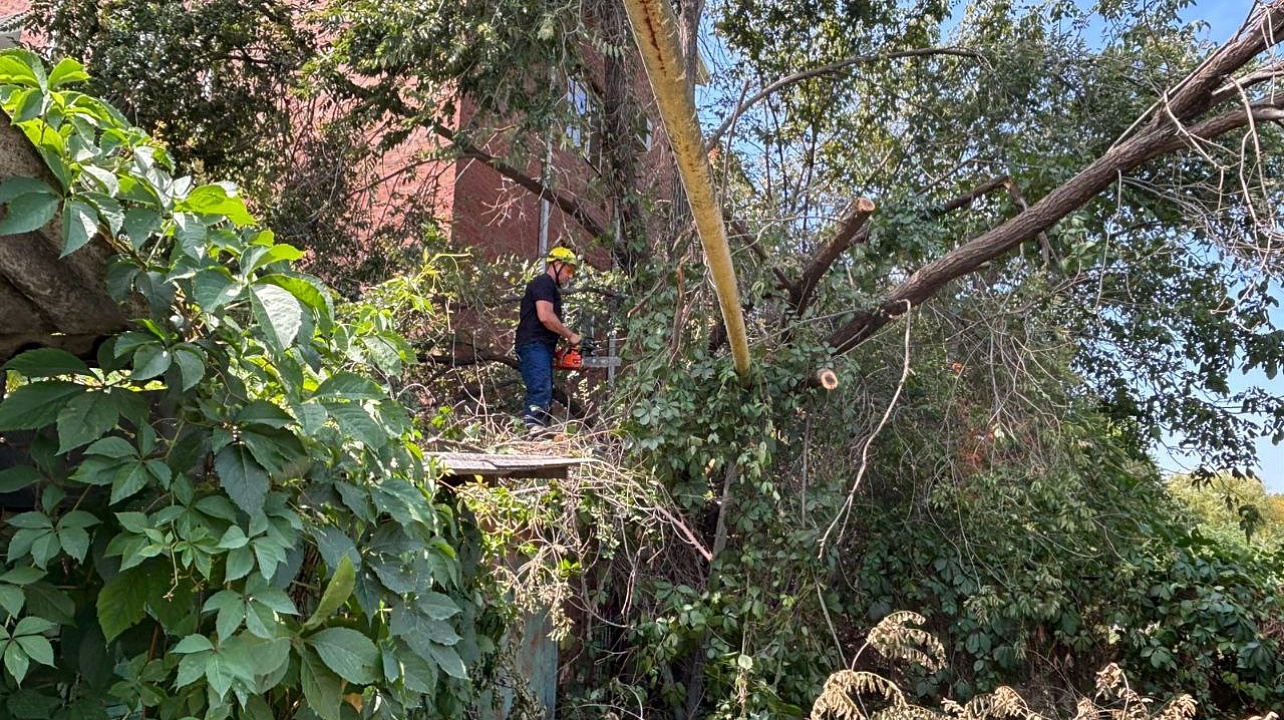 Фото: "Служба спасения" Краснодара