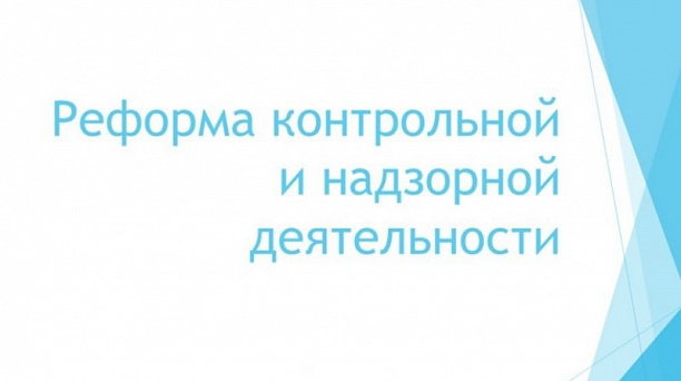 Реформа контрольной и надзорной деятельности