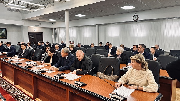 Депутаты обсудили вопросы электроснабжения садоводческих товариществ и социальной догазификации
