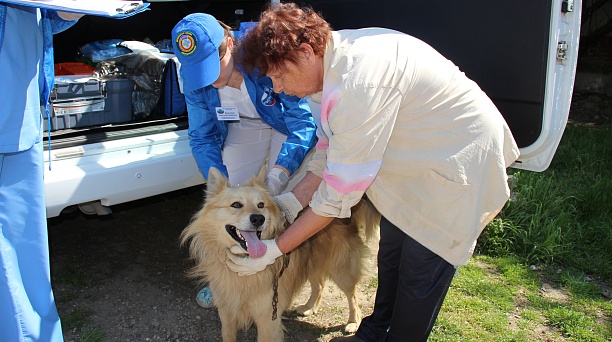 Завтра в Центральном округе пройдет бесплатная вакцинация домашних животных