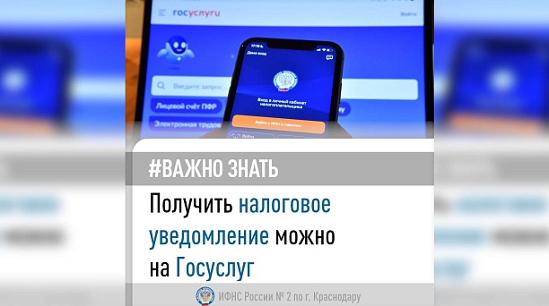 Получить налоговое уведомление можно на Госуслуг