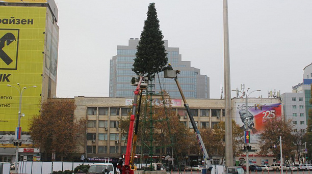 В Краснодаре начался монтаж главной городской елки